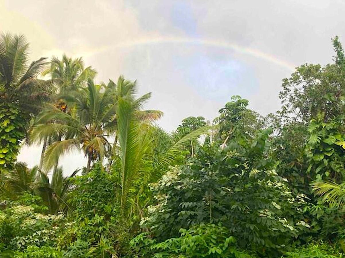 Seaside House And Aloha Bungalow Pahoa Luaran gambar