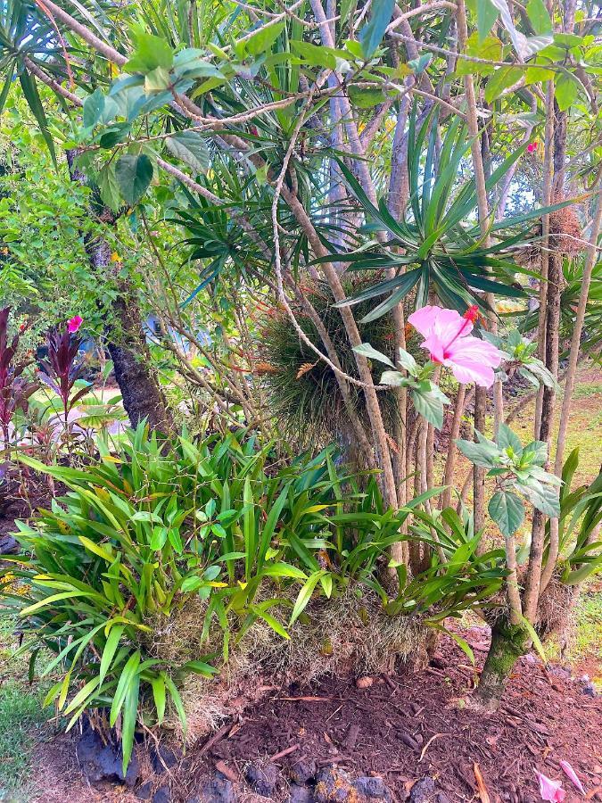 Seaside House And Aloha Bungalow Pahoa Luaran gambar